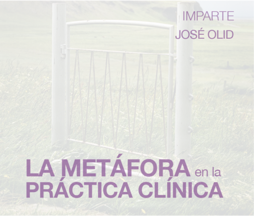 La Metáfora en la Práctica Clínica