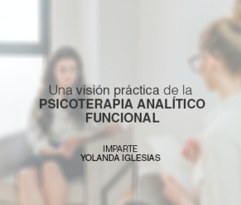 Una visión práctica de la Psicoterapia Analítica Funcional